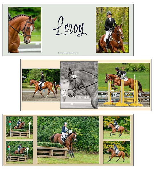 Leroy
