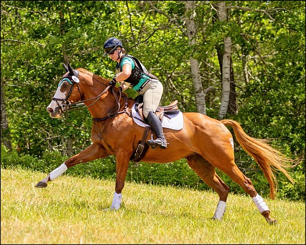 Valinor Farm Horse Trials June 2026